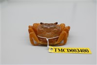 藏品(拉氏清溪蟹)的圖片